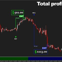 Bizon Scalper result2