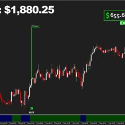 Bizon Scalper result3