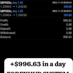 FOREXHUB SYSTEM 2024 EA Result4