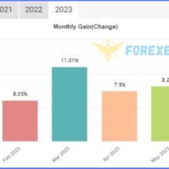 MoneyBot1 Pro EA Result1