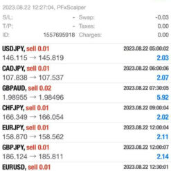 PFx Scalper EA Result4