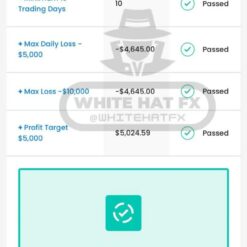 WHITE HAT FX EA FTMO3