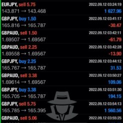 WHITE HAT FX EA Result1