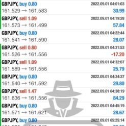 WHITE HAT FX EA Result2