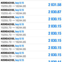Blue Mode Doller Chaser System Result1