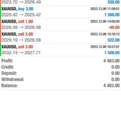 SpaceX Gold Pro Result1