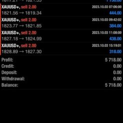 SpaceX Gold Pro Result44