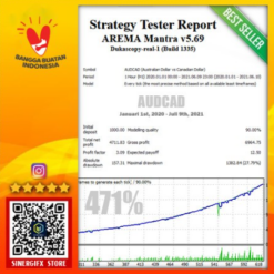 AREMA Mantra Review2