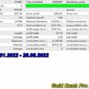 Gold Rush Pro Review2
