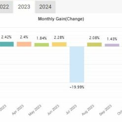 CHEETAH FX EA Result2