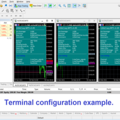 LittleCrazy EA Install