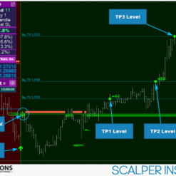Scalper Inside PRO Review1