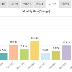 Smart Machine EA Result3