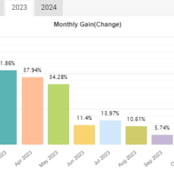 IS VIP ONE EA Review3