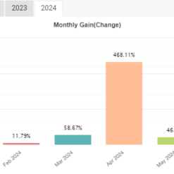 IS VIP ONE EA Review4