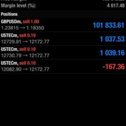 Abella Scalping Robot Result2