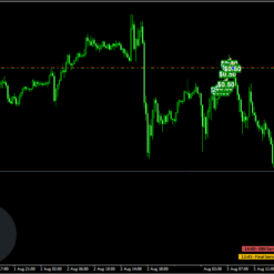 Advanced Gold Trading EA Setting