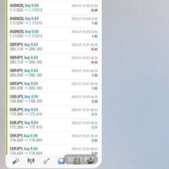 Forexflare Robot EA Review4