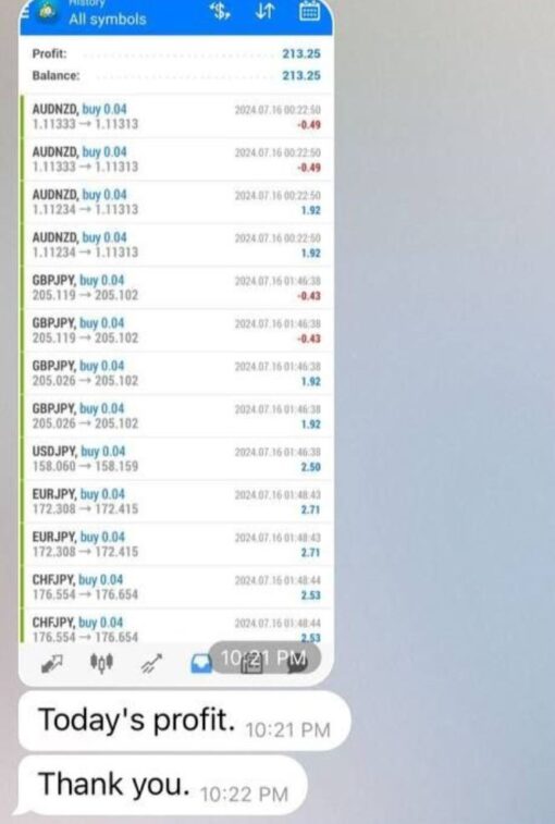 Forexflare Robot EA Review4