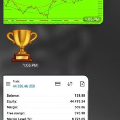 Green Vault Indicator Review3