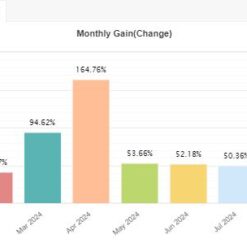 IS VIP THIRD EA Review1
