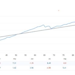 Regal Spear MT4 Review2