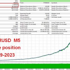 Regal Spear MT4 Review3