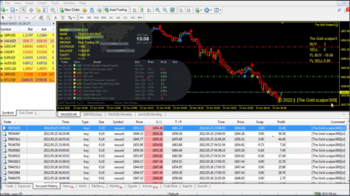 The Gold Scalper Setting