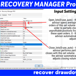 Recovery Manager Pro EA Review4