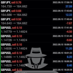 WHITE HAT FX Review2