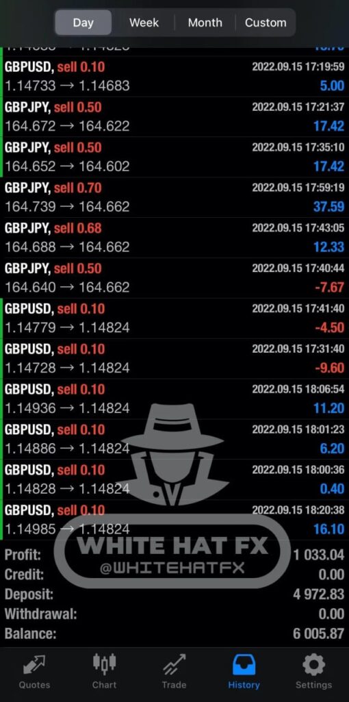 WHITE HAT FX Review2
