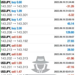 WHITE HAT FX Review3