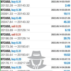 WHITE HAT FX Review4