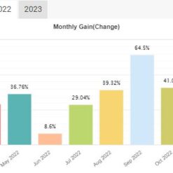 Yetti Classic EA Review3