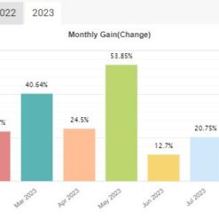 Yetti Classic EA Review4