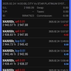 City-Scalper Reviews1