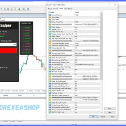 Exponential Scalper Reviews1