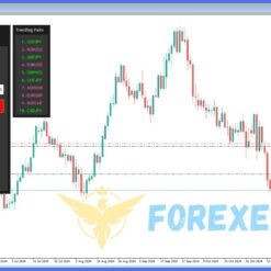 Exponential Scalper Reviews3