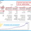 Gold Trend Scalping Backtests2
