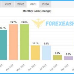 IS VIP Five EA Results4