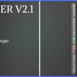 Pro Lizer MT4 Indicator Reviews3