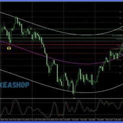 100% winrate system Reviews3