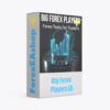 Big Forex Players EA