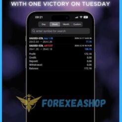 Paragon Automation EA Reviews4