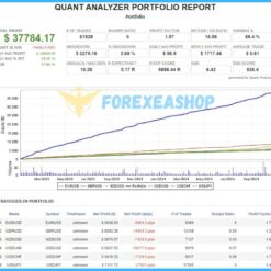 Forex Obsidian EA Results