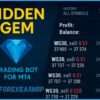 Hidden Gem Reviews2