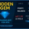 Hidden Gem Reviews3