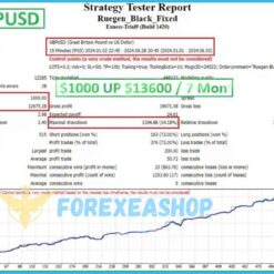 Alternative view of RUEGEN BLACK EA MT4 With Setfiles