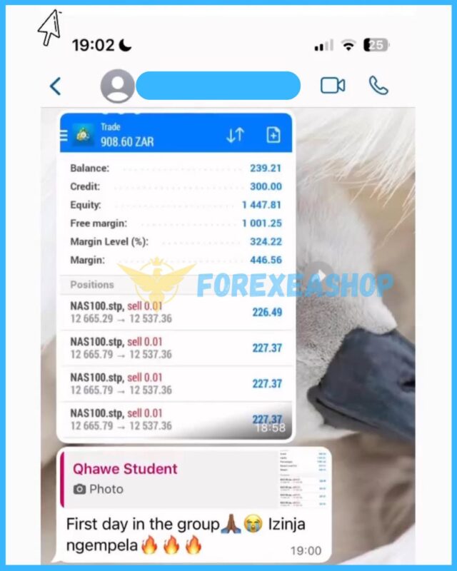 Super Saiyan Chopper Reviews1