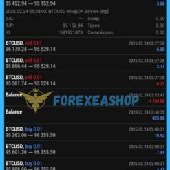 XIMpda Seven Bitcoin Reviews2